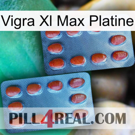 Vigra Xl Max Platinum 05